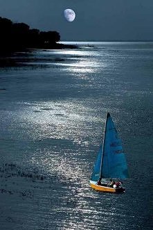 Moonlight Sailing