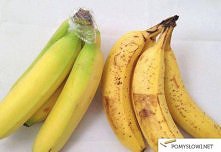 może jednak działa?