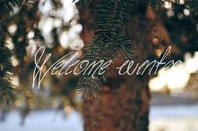 Zimy nie widać, ale kalenda...