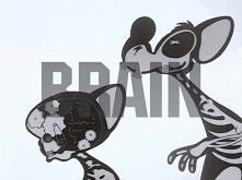 BRAIN