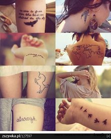 co sadzicie o mapce?