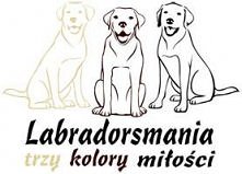 Trzy kolory miłości <3