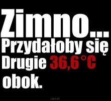 Pilnie poszukiwana druga połówka ;)