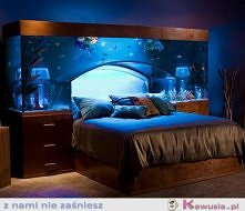 dla tych co lubią nurkować