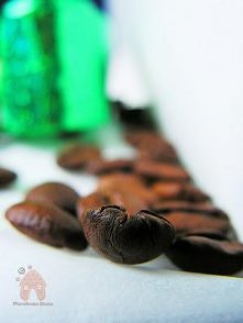 świeżo mielona najlepsza