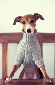 zapraszam do polubienia! :D...