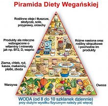 piramida wegańska :)