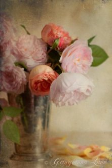 romantyczny bukiet róż Austina