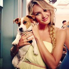 Podoba wam się Candice Sman...