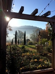 poranek w ogrodzie... ech...