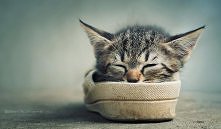 omatko jaki słodki ❤️