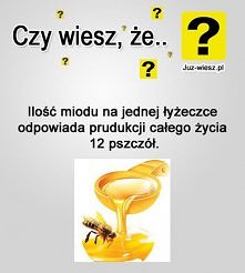 pszczoły