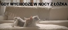 kiedy wstaję