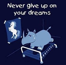 never give up