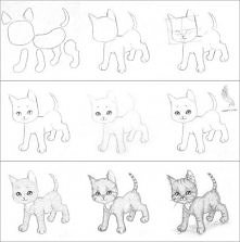 jak narysować kota