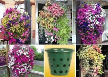 vertical garden, tutorial, ...
