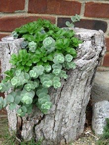 Świetny pomysł dla pozostaw...