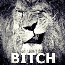 bitch<3