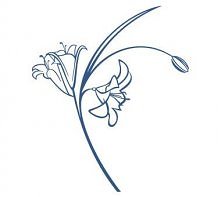 kolory można zmienić w picture manager