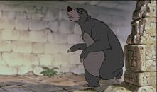 gif
KSIĘGA DŻUNGLI