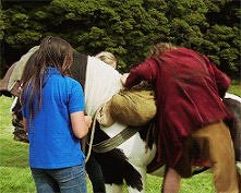 gif hobbit