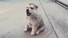 <3 <3
