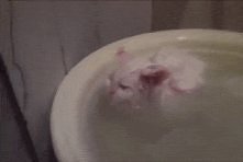 kotuś w kąpieli xD