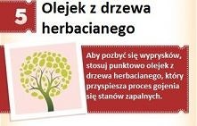 Olejek z drzewa herbacianeg...