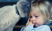 słodki kociak pocieszacz :)