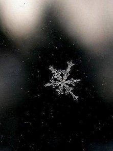 rób zdjęcia, każda inna :)