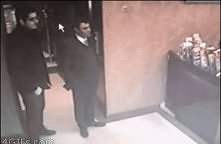 Kot ninja ;)