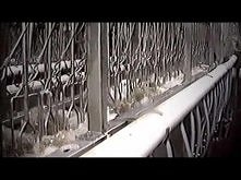 Farm to fridge.
Świadomość ...