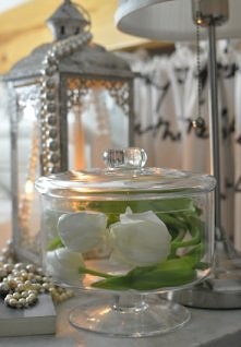 pojemnik Agnes z tendom