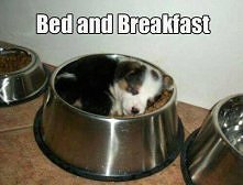 bed and breakfast :D