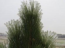 Widok warty zobaczenia ;)