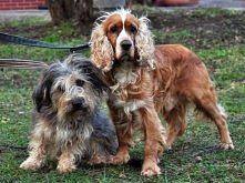 Asik i Bąbel bardzo się kochają___ Weź je oba! :) Szczegóły na Zoomia.pl