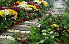 Wykorzystanie podkładów kol...