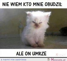 ja też lubię spać