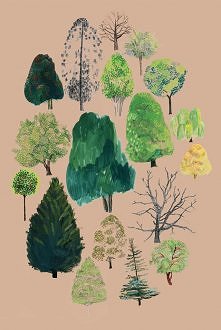 Drzewkowy poradnik :)