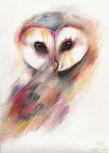 owl :)