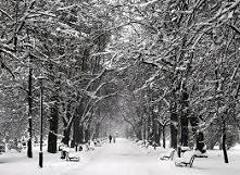 park w okresie zimowym ...