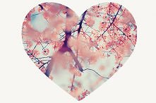 kwiatki są śliczne ;*