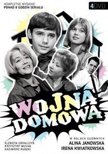 Wojna domowa