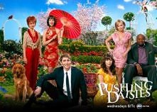 Gdzie pachną stokrotki