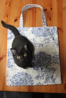 eko torba "stara Anglia"