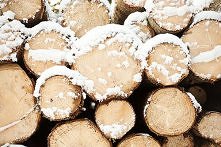 śnieg, wszędzie śnieg ;)