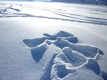 aniołek na śniegu ^^