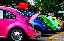 Kolorowe dupcie :) /Req449