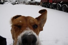 A masz tu odemnie Oczko ;) ...