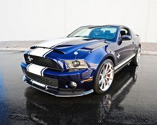 Shelby Super Snake 2 GT500  /Req449